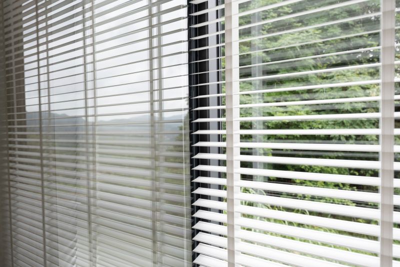 Choosing the Right Blinds