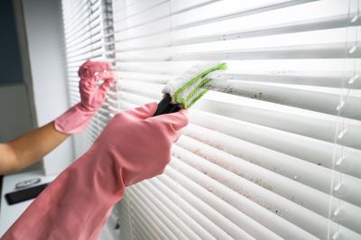 Professional Window Blinds Repair